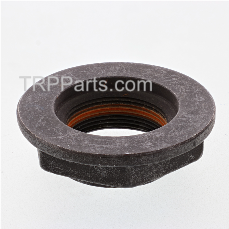 nut-input rear image 2