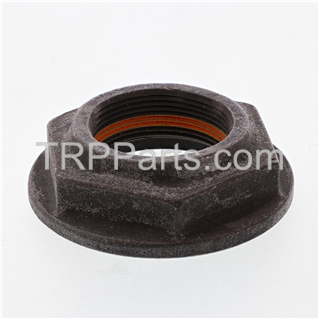 Image of nut-input rear