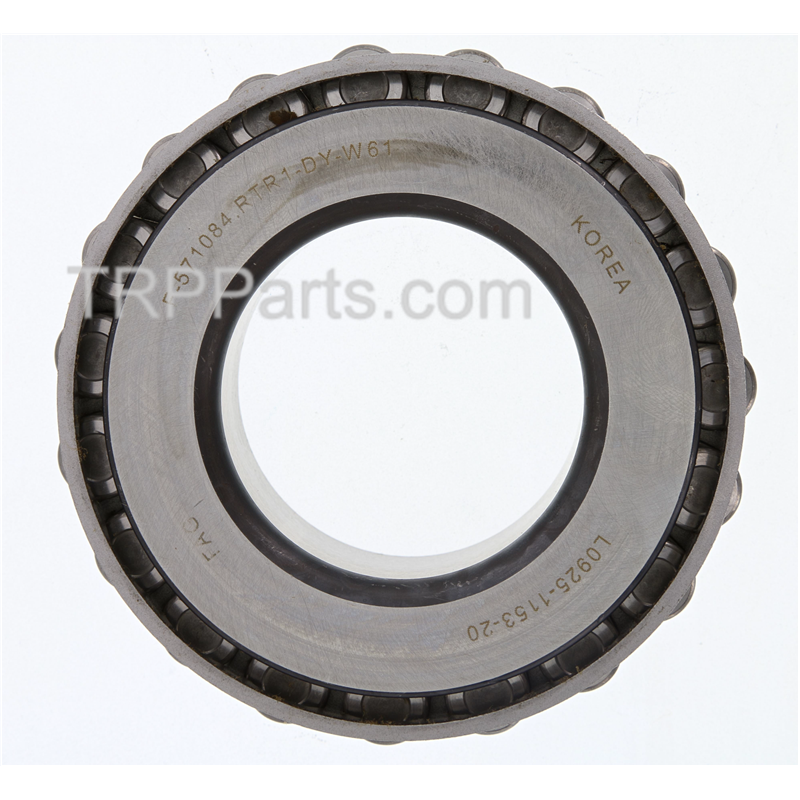 cone-bearing image 3
