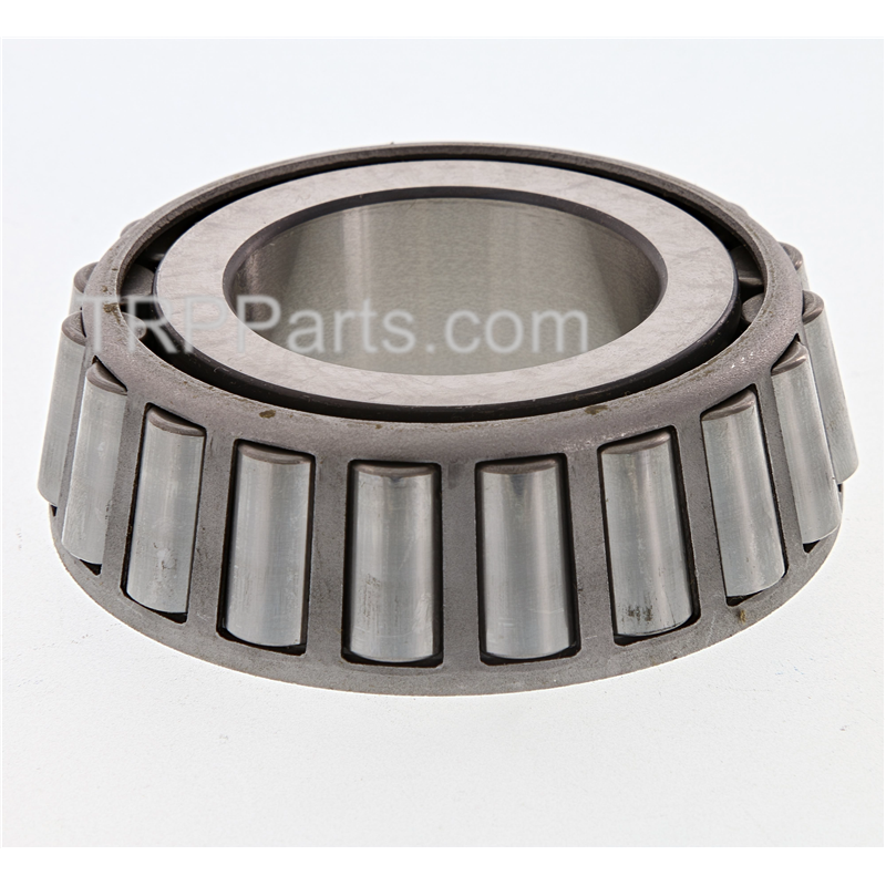 cone-bearing image 1