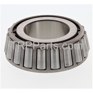 Image of cone-bearing