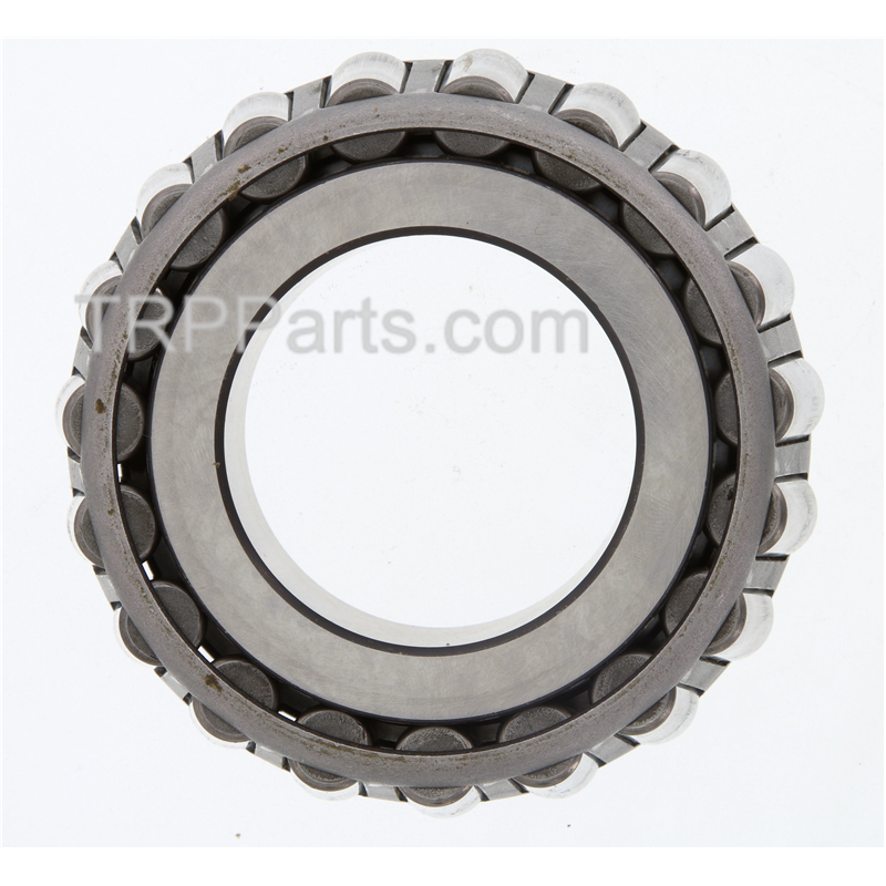 cone-bearing image 2