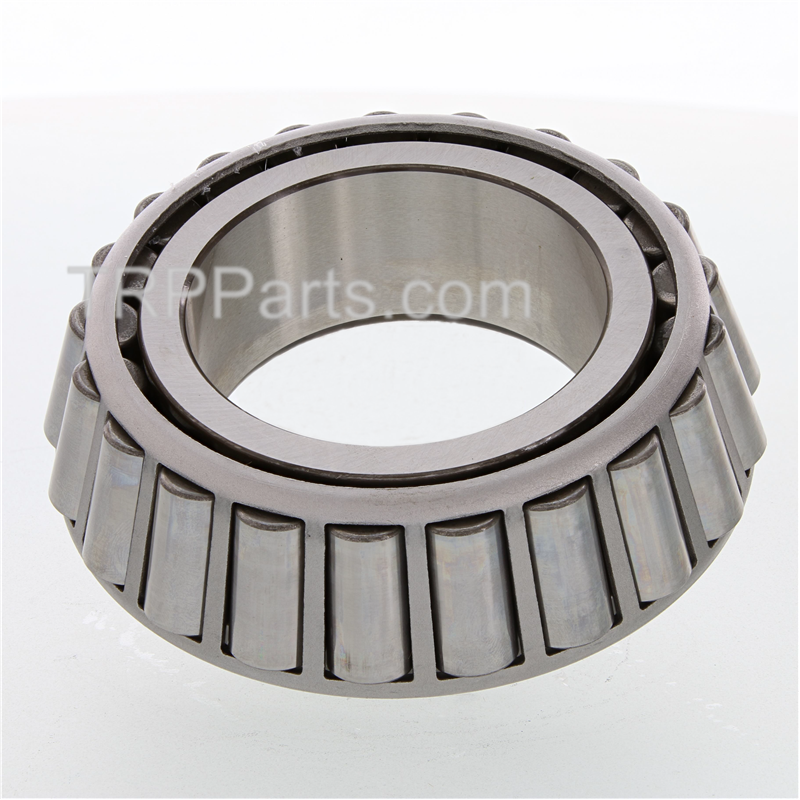 cone-bearing image 2