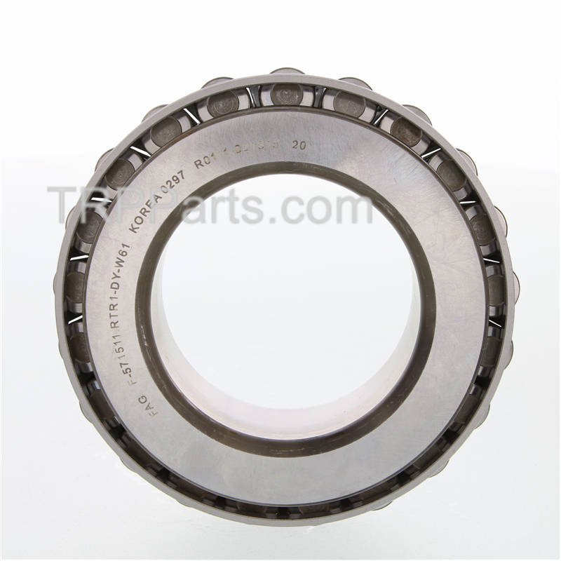 cone-bearing image 1