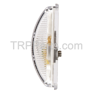 lamp-marker, clear     dr image 4