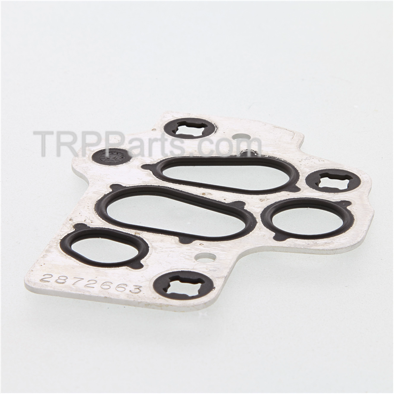 gasket,fuel pump image 1