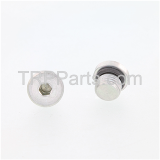 Image of plug,threaded