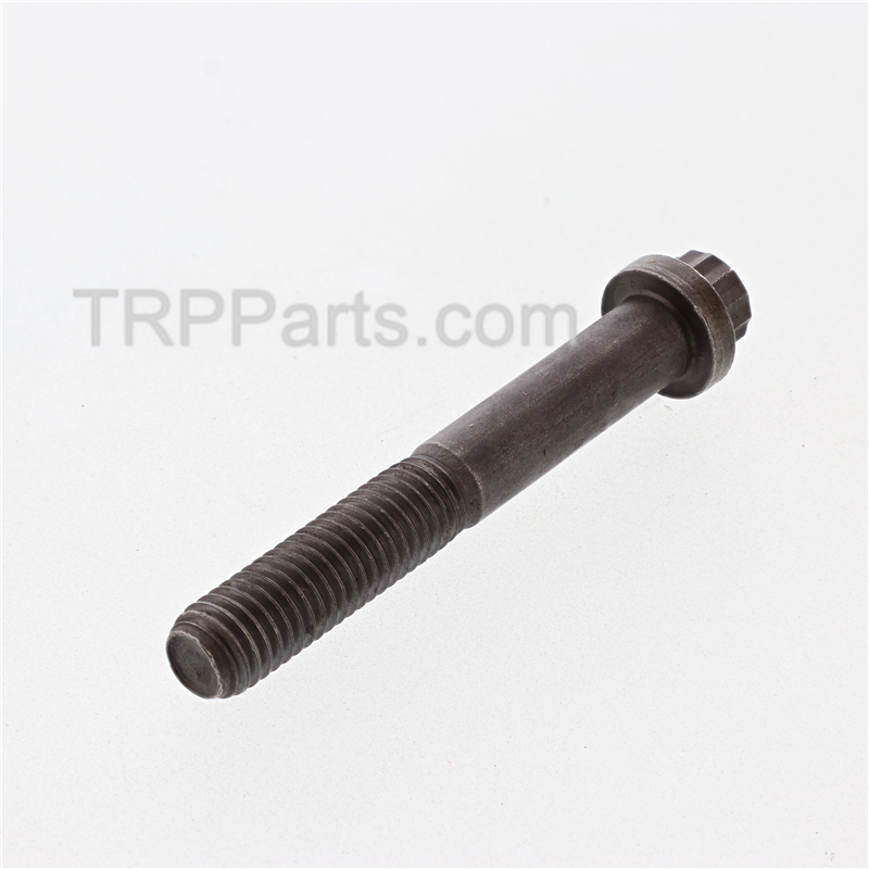 screw,twelve point cap image 2