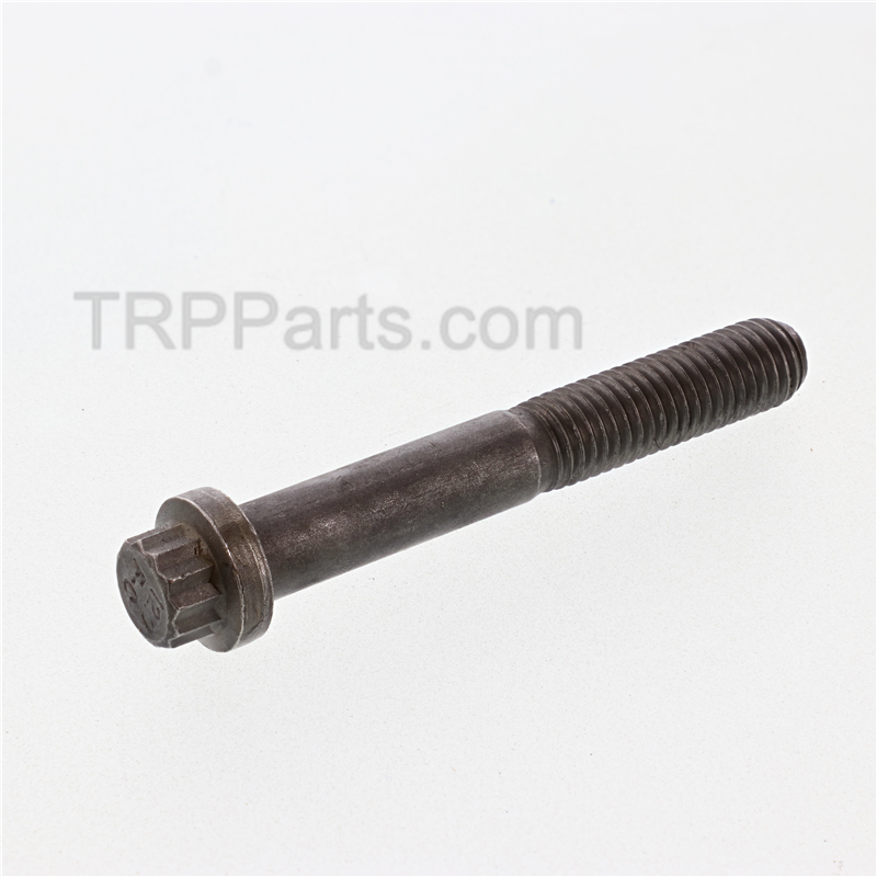 screw,twelve point cap image 1