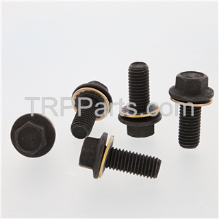 Image of screw,captive washer cap