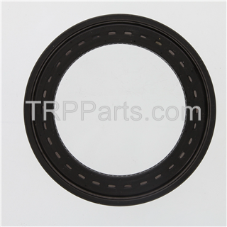 seal-oil bath teflon national
