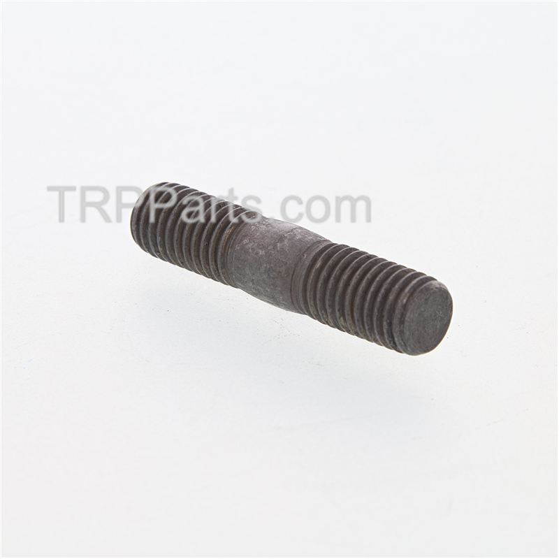 stud image 1