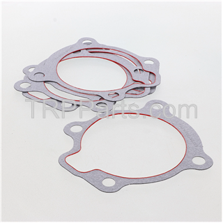 Image of gasket
