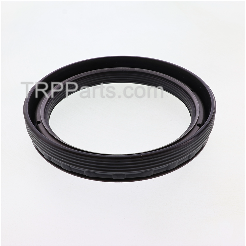 seal- x treme image 2