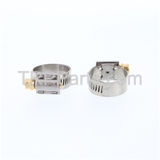 Image of hose clamp - with liner - #10