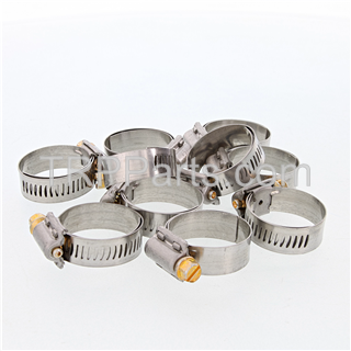 Image of hose clamp with liner - #12
