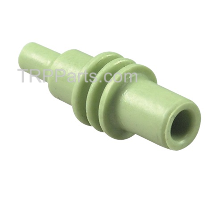 cavity plug image 1