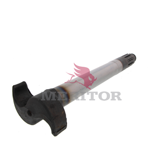 camshaft image 2