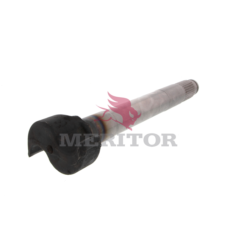 camshaft image 2