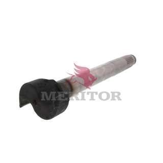 camshaft image 2