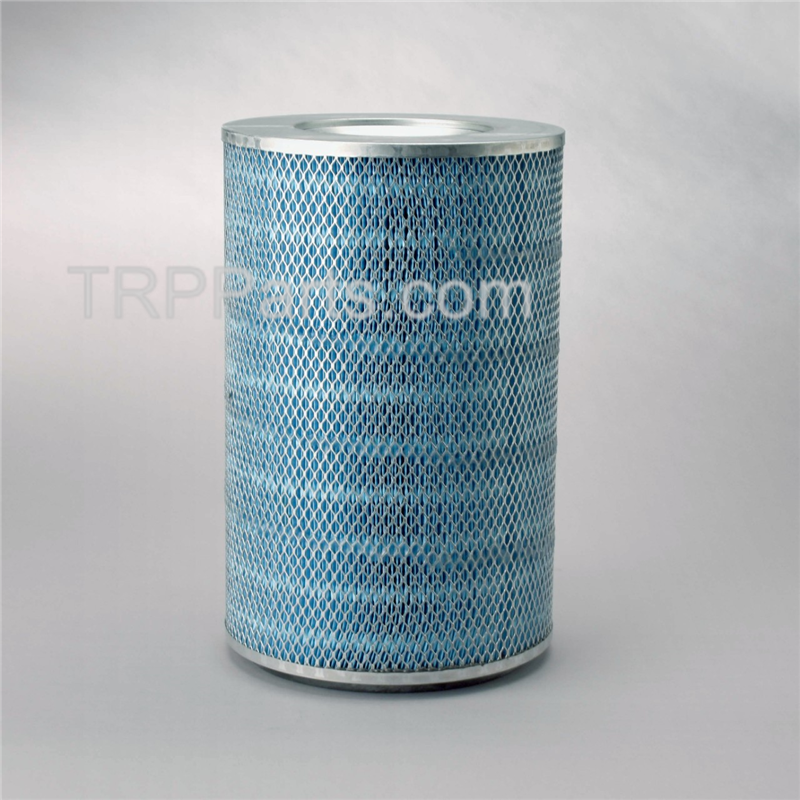 air filter - primary - donaldson blue image 1