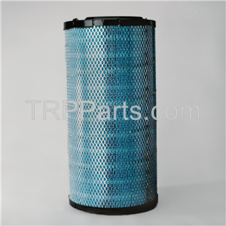 air filter - primary - donaldson blue