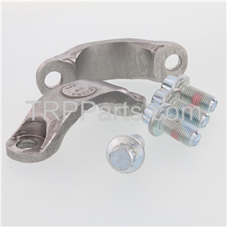 Image of trp 250 brg strap kit