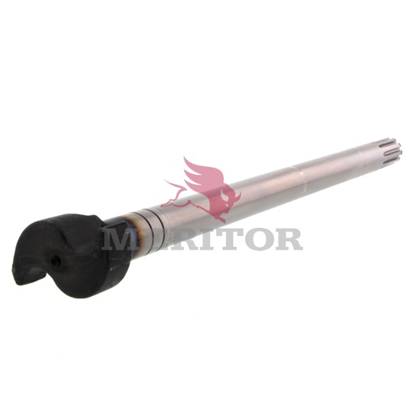 camshaft image 1