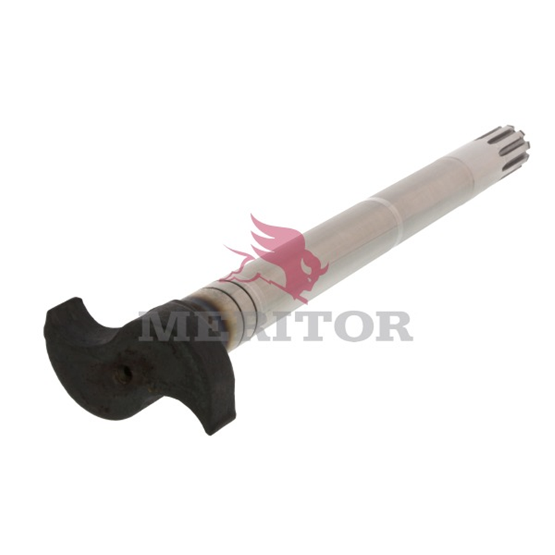 camshaft image 1