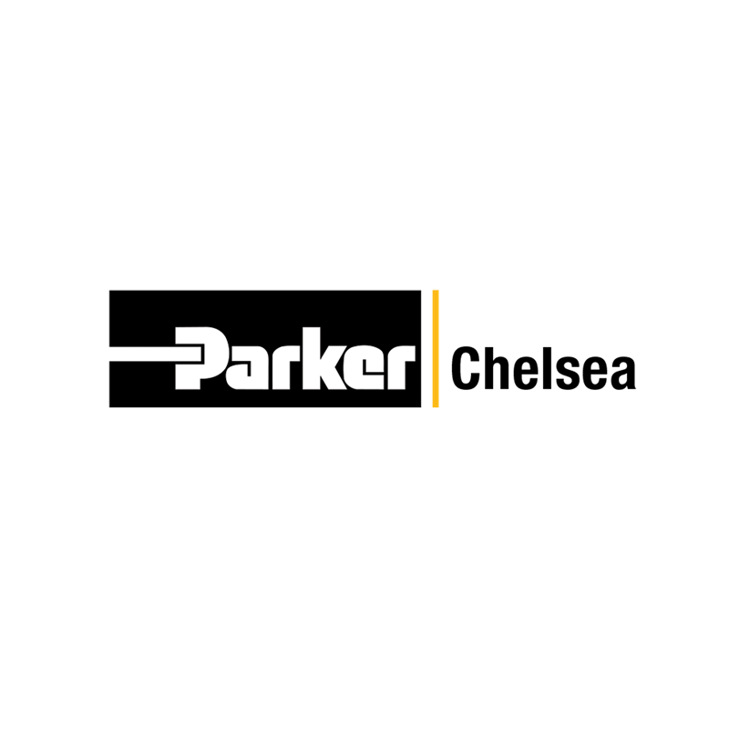 CHELS Logo